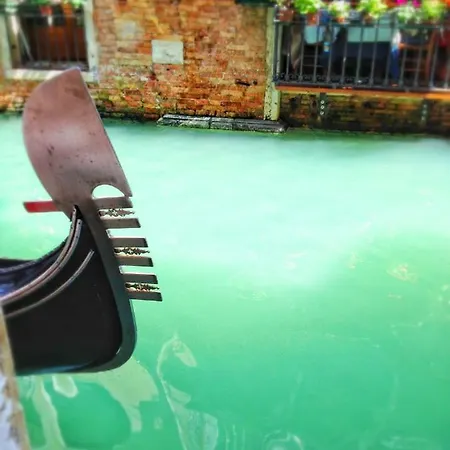 Casa Del Vigneto * Spinea