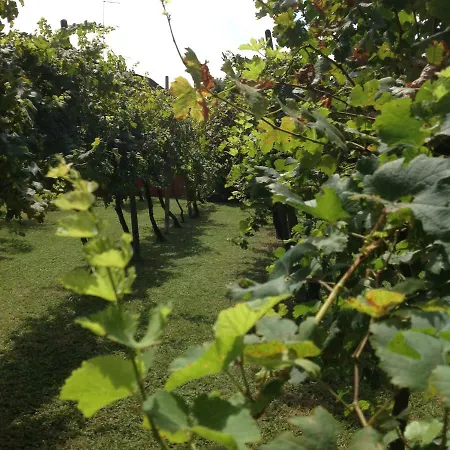 Casa Del Vigneto Casa vacanze