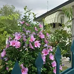 Casa Del Vigneto *