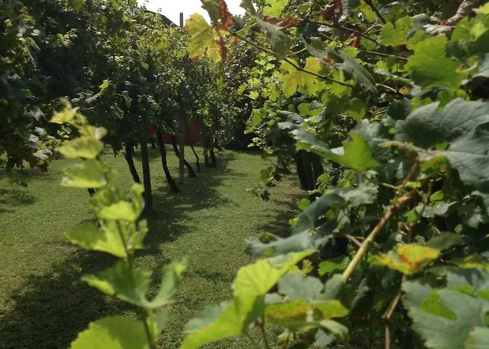 Casa Del Vigneto Сasa de vacaciones